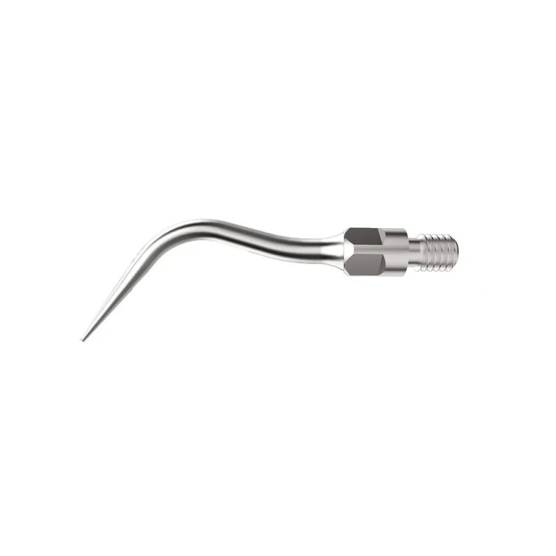 denta-tec-120260710190126665549