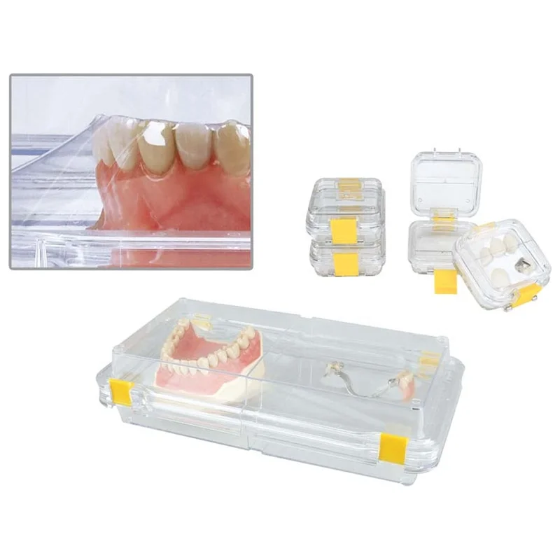 denta-tec-120260710211343690548