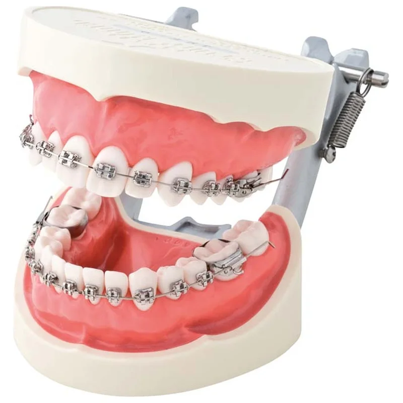 denta-tec-120260710212159691892