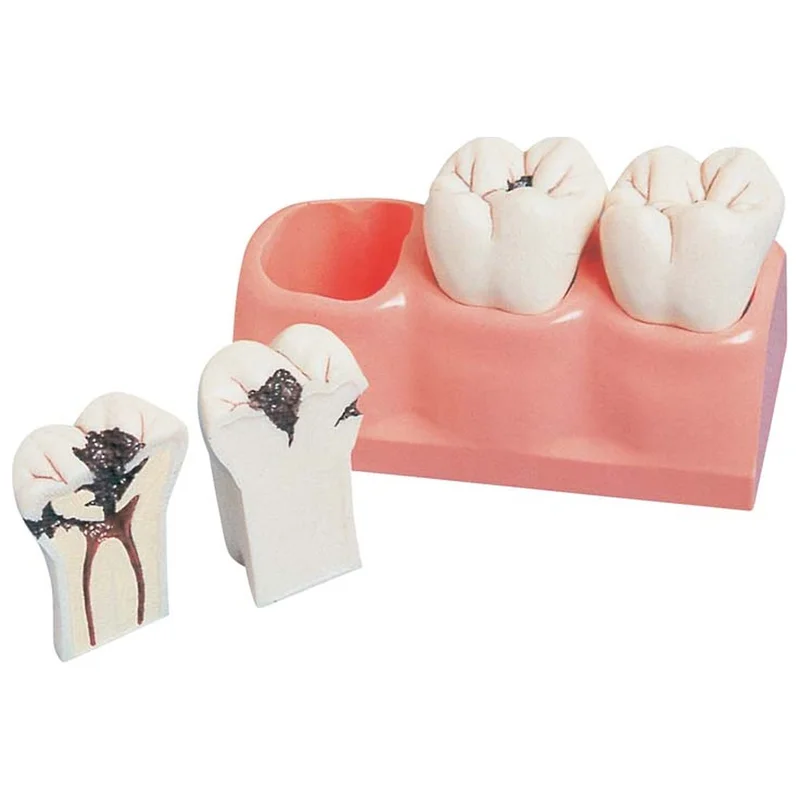 denta-tec-120260710212237692001