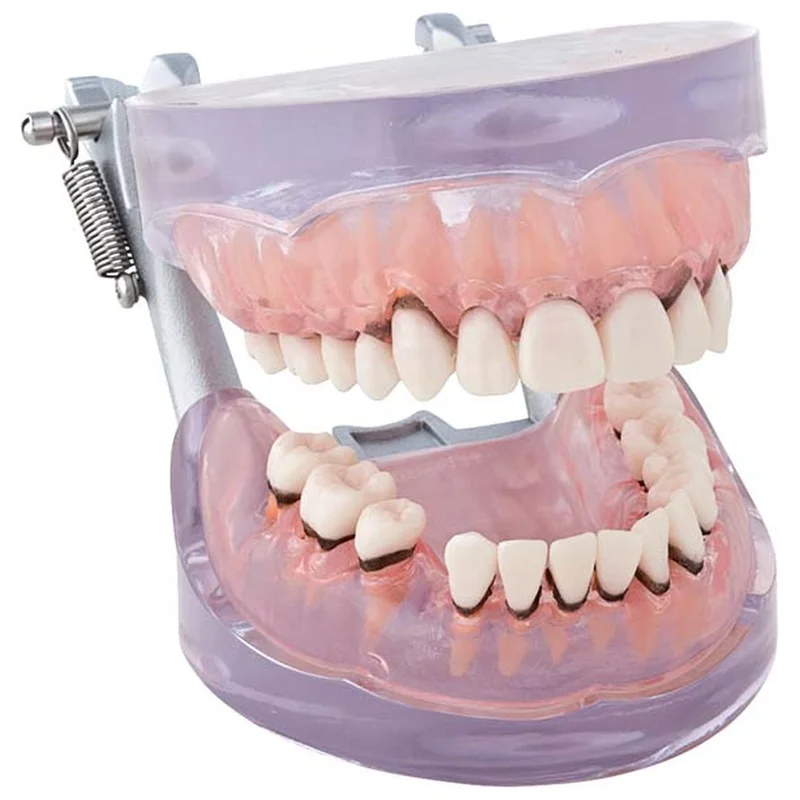 denta-tec-120260710212309692097
