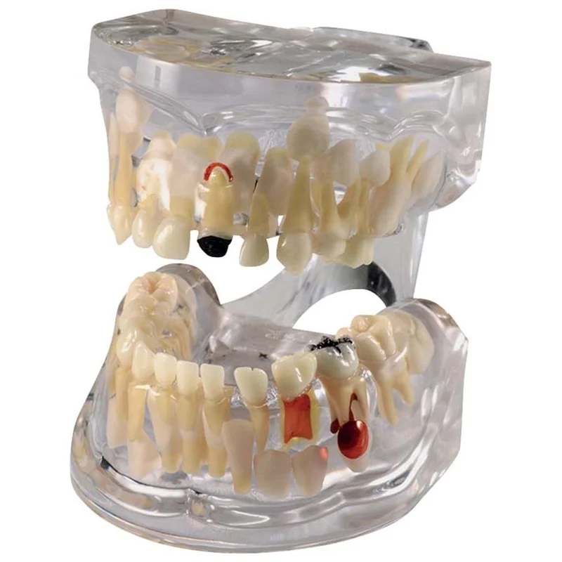 denta-tec-120260710212321692130
