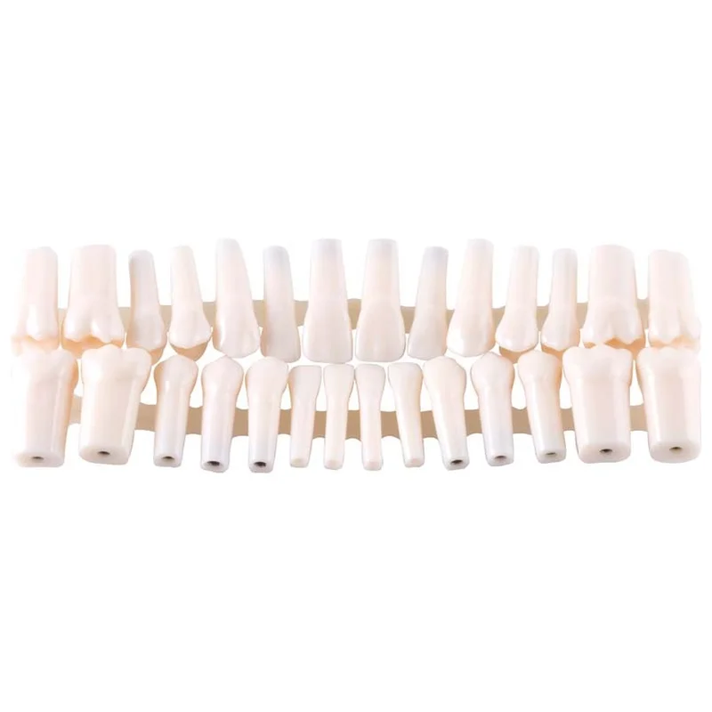 denta-tec-120260710212329692151