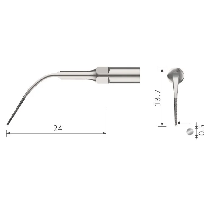 denta-tec-120260710214240695327