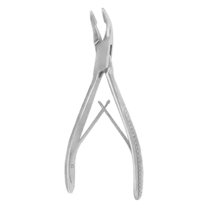denta-tec-120260710235540718391