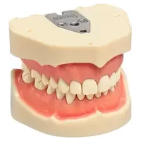 denta-tec-120260711000549720185