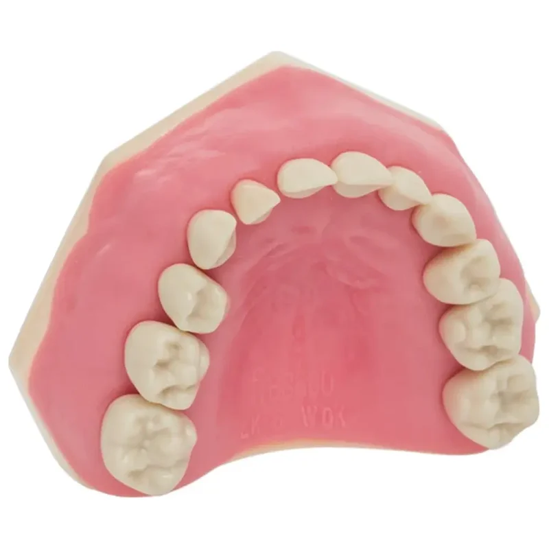 denta-tec-120260711000815720612
