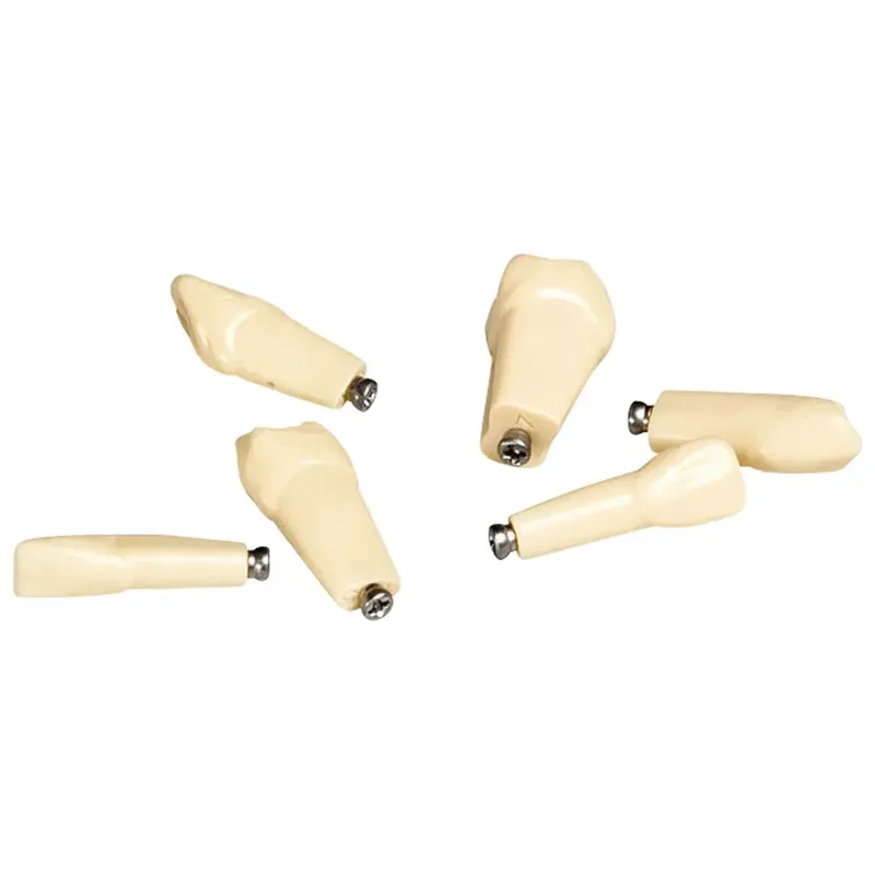 denta-tec-120260711000832720653