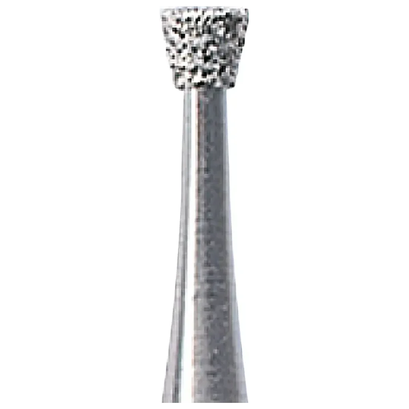 denta-tec-120260711003358725166