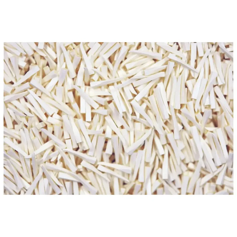 denta-tec-120260711015656739046