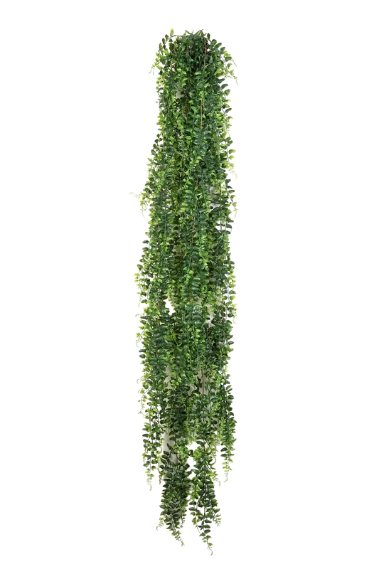 denta-tec-120260711031639748147