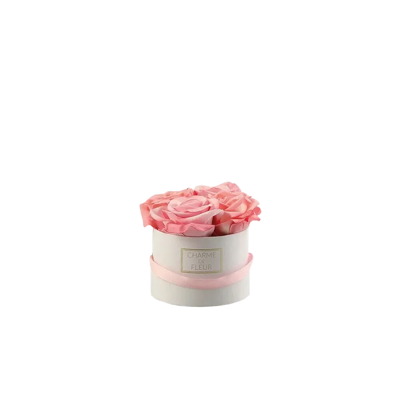 denta-tec-120260711032931749458
