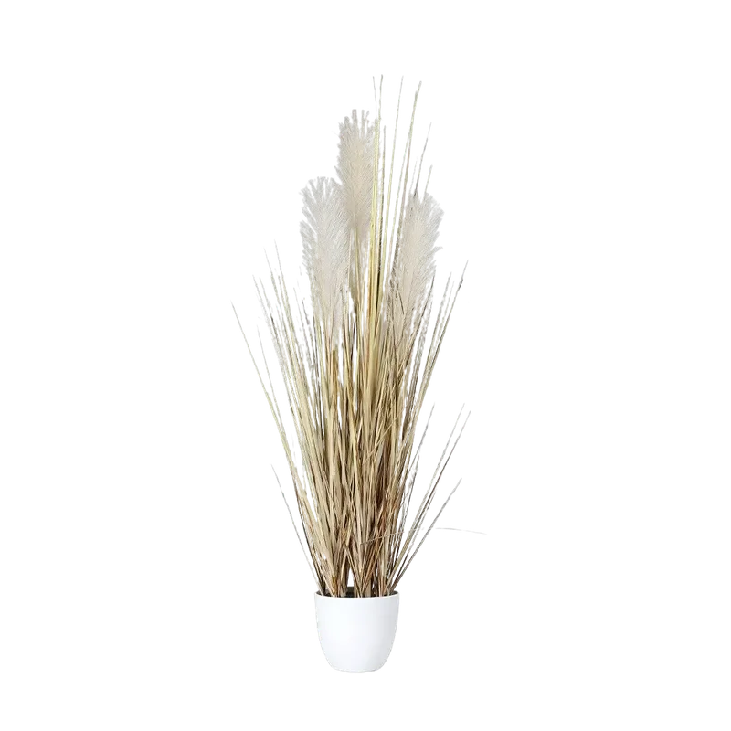 denta-tec-120260711033357750060