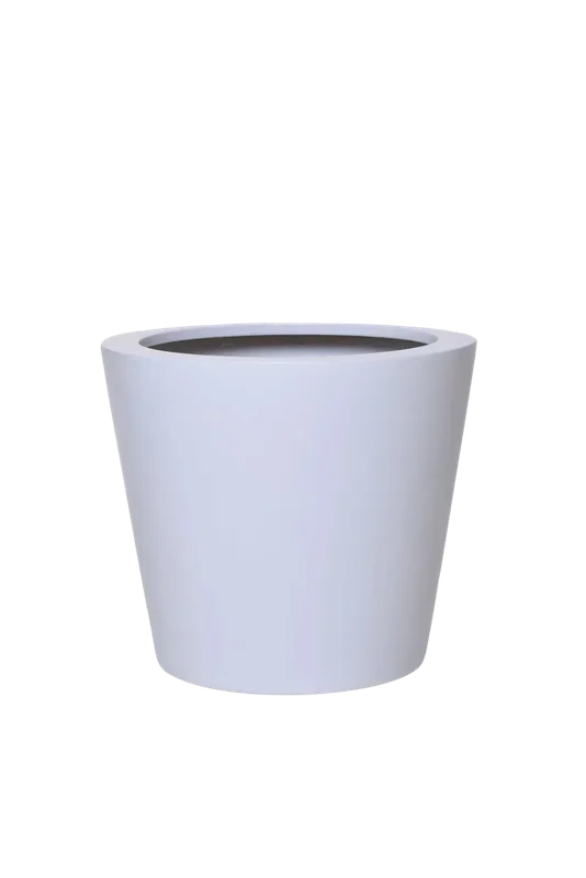 denta-tec-120260711033504750209
