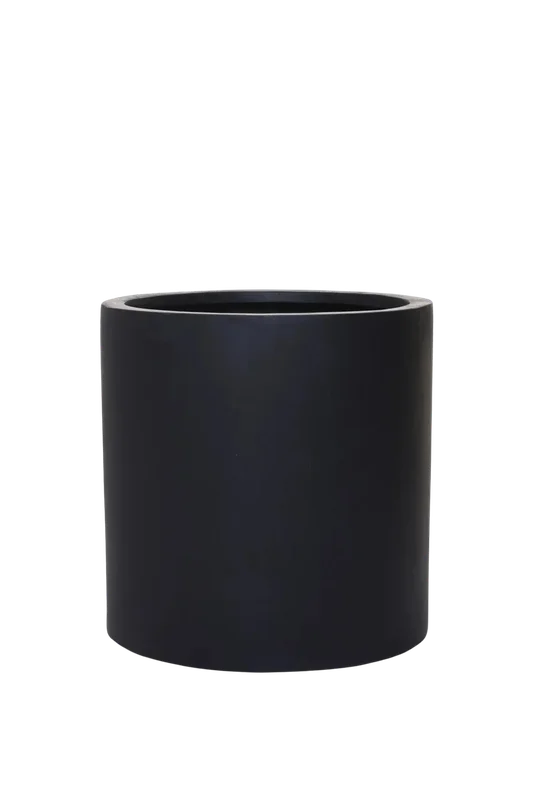 denta-tec-120260711033508750214