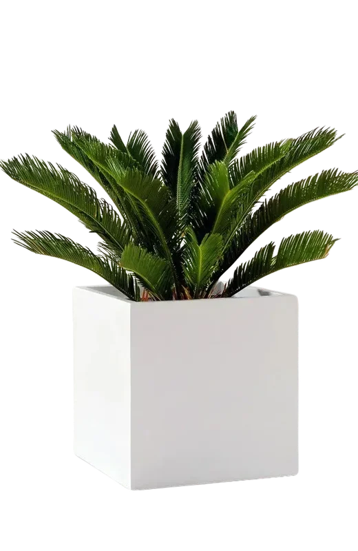 denta-tec-120260711033640750418