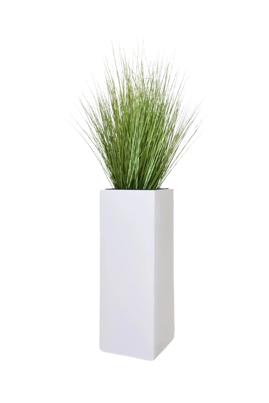 denta-tec-120260711033722750505