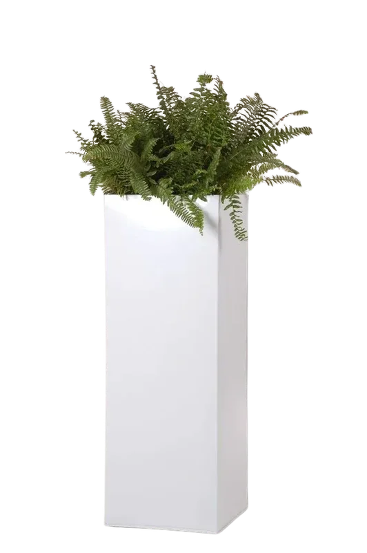 denta-tec-120260711033724750511