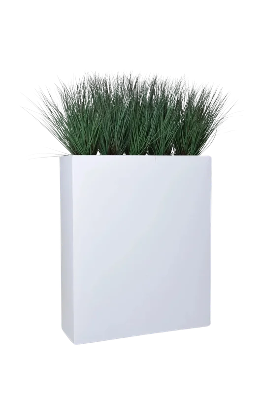 denta-tec-120260711033750750565