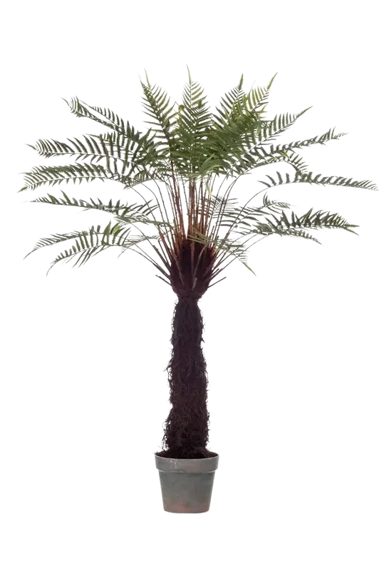 denta-tec-120260711034721751615
