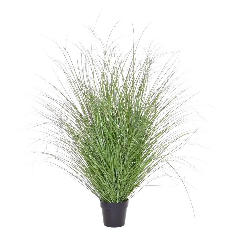 denta-tec-120260711035159752126