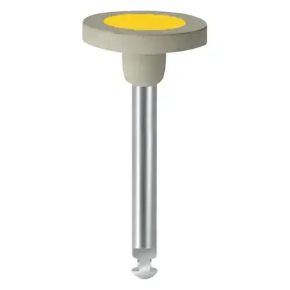 denta-tec-120260711040833754558