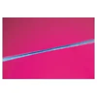 denta-tec-120260711041353755531