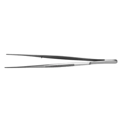 denta-tec-120260711052639767994