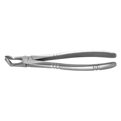 denta-tec-120260711052803768204