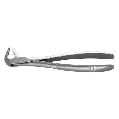 denta-tec-120260711052817768237