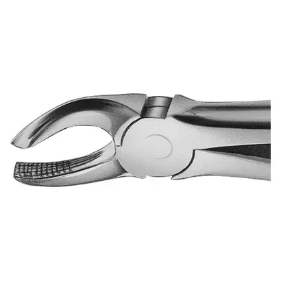 denta-tec-120260711055704772439