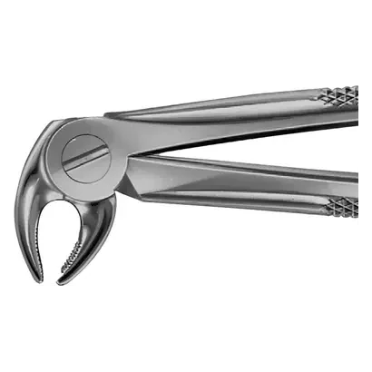 denta-tec-120260711055716772475