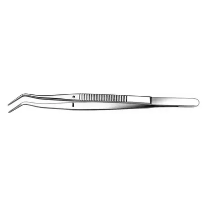 denta-tec-120260711060612773863