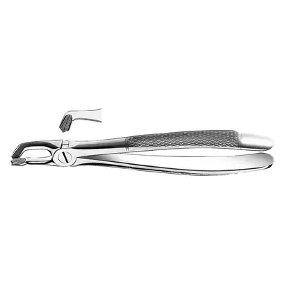 denta-tec-120260711061323774992