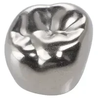 denta-tec-120260711062141776202