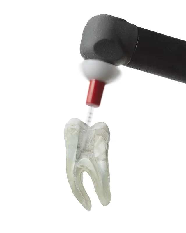 denta-tec-120260711104653808688