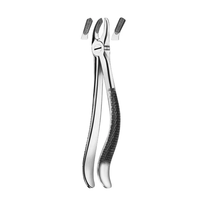 denta-tec-120260711111541812346