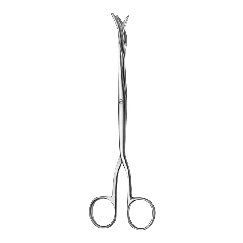 denta-tec-120260711115225817271