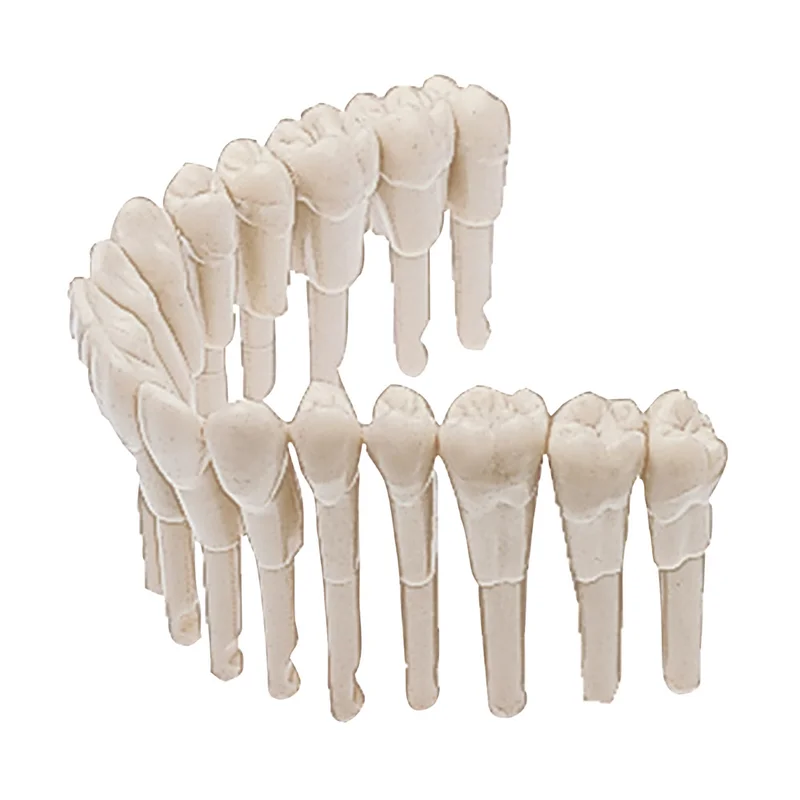 denta-tec-120260711131201827734