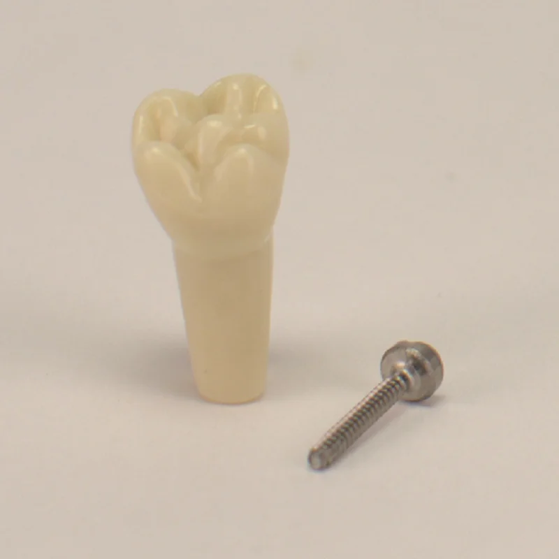 denta-tec-120260711134604831507