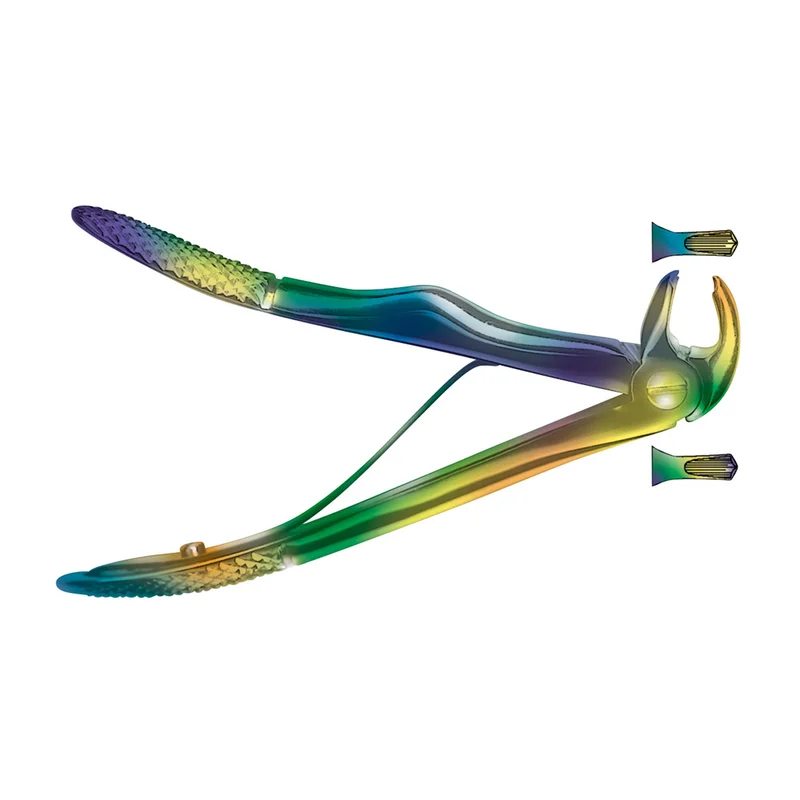 denta-tec-120260712014821894405