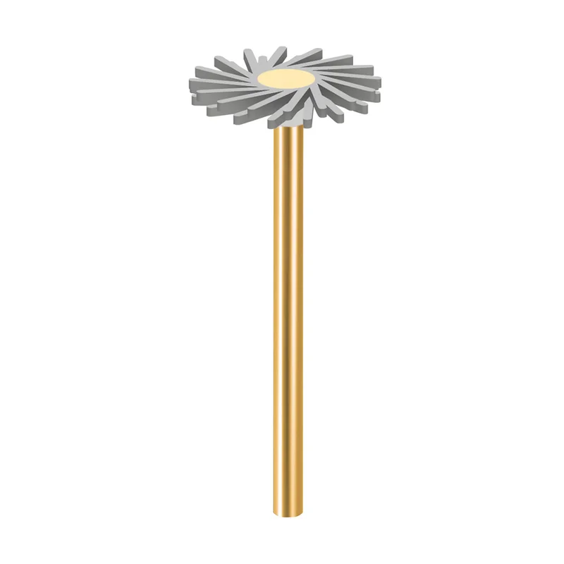 denta-tec-120260712064016920793