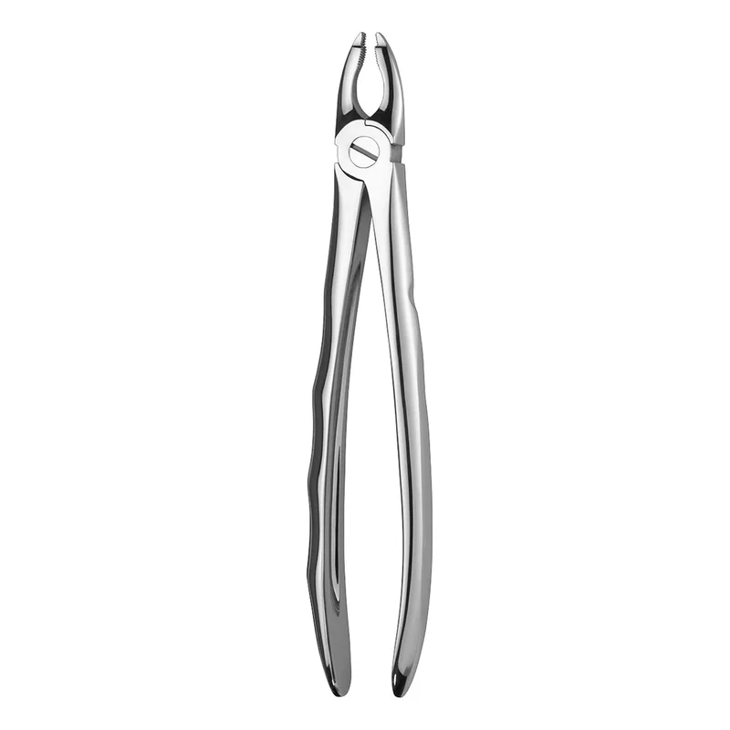 denta-tec-120260712065307922432