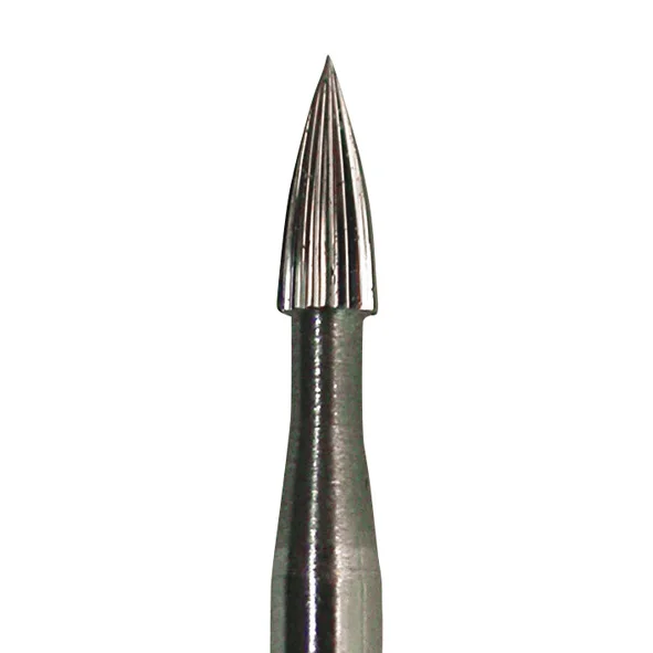 denta-tec-120260712082712934061