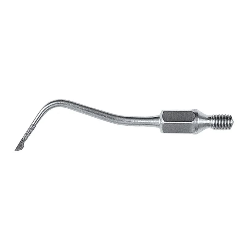 denta-tec-1202607121906291000741
