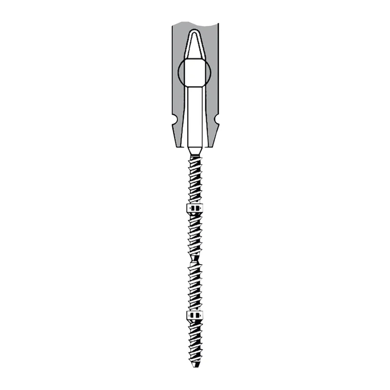 denta-tec-1202607121925191002756