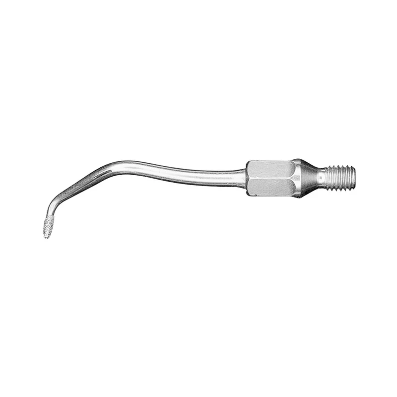 denta-tec-1202607121938181004125