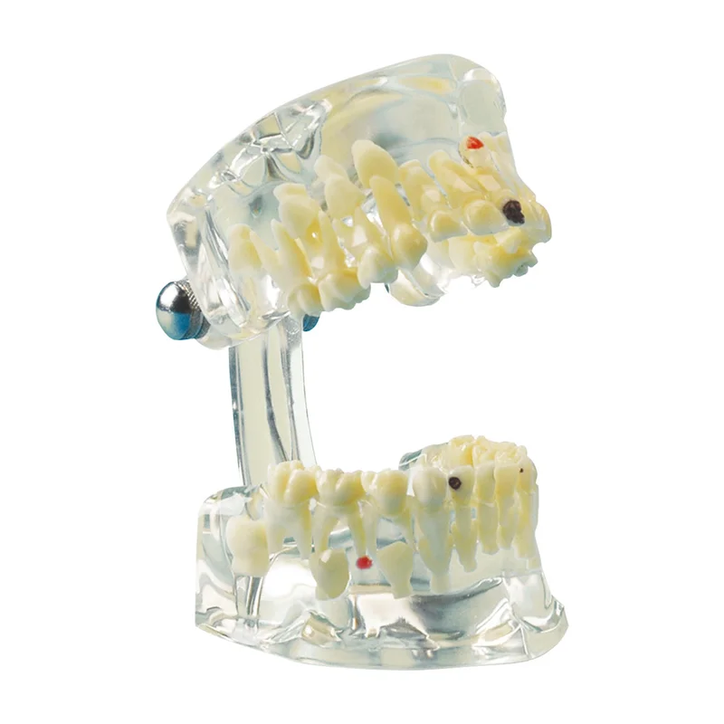 denta-tec-1202607121944171004763