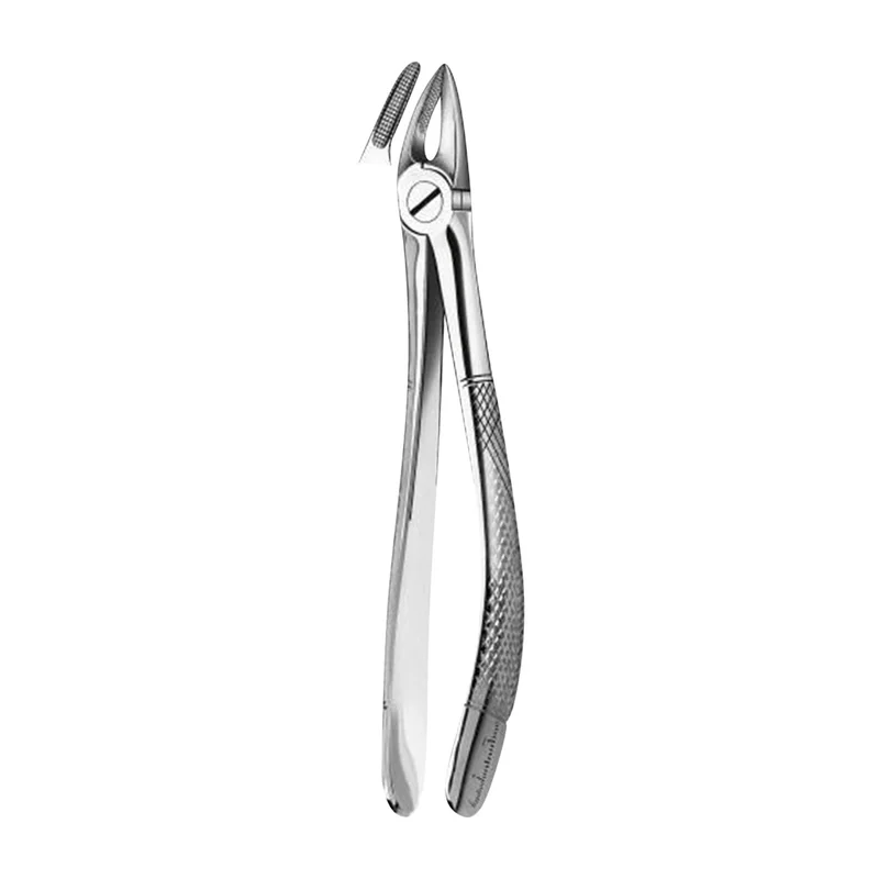 denta-tec-1202607122024141009208