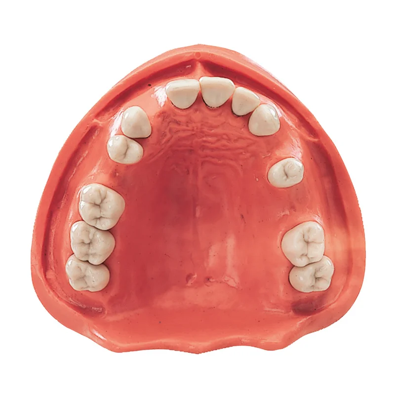 denta-tec-1202607122137281017255